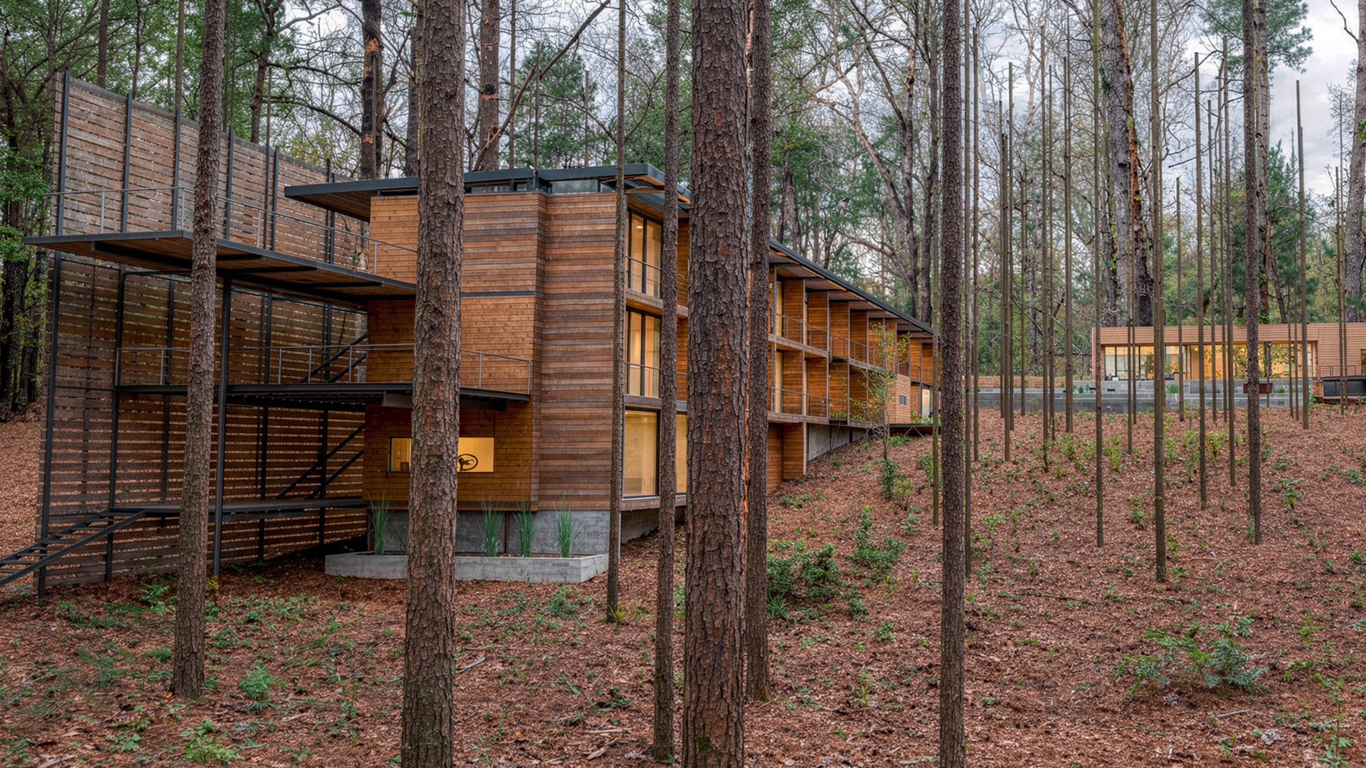 tree line boutique hotel