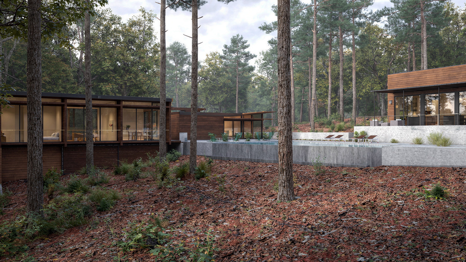 tree line boutique hotel