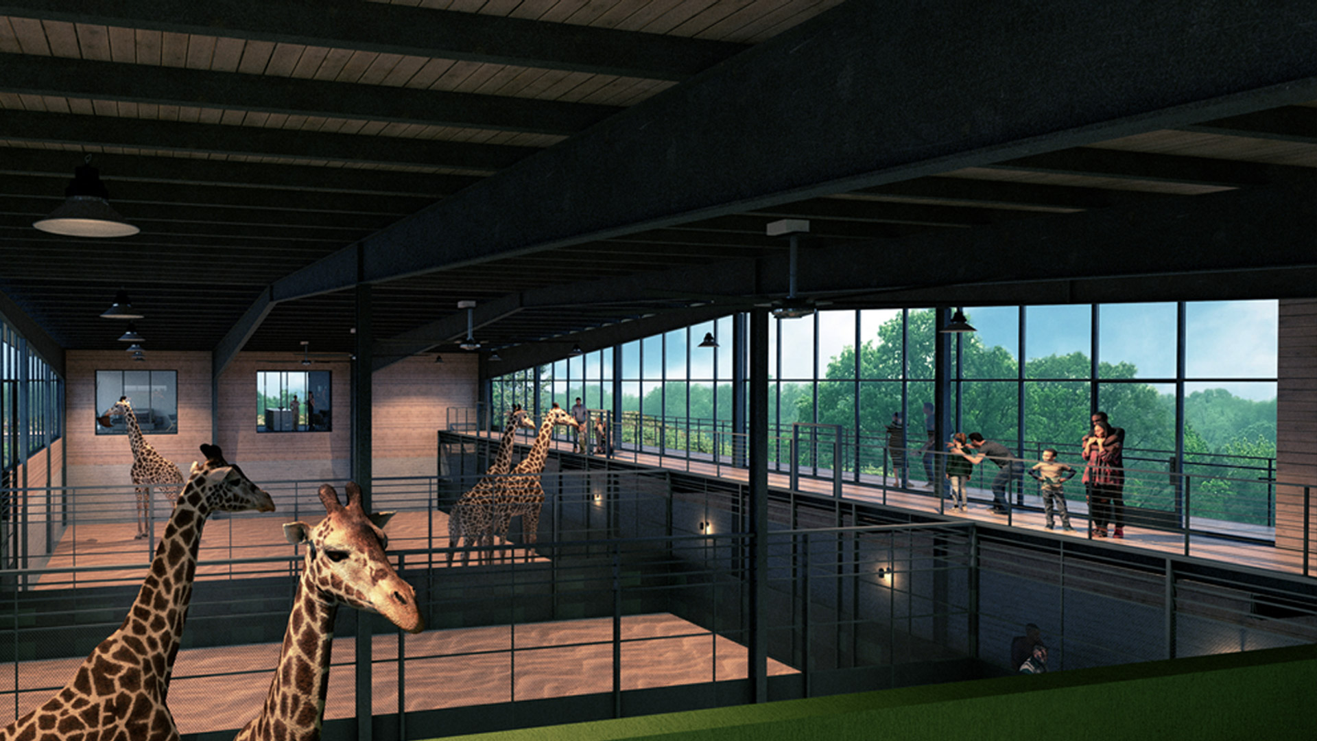 georgia safari . madison