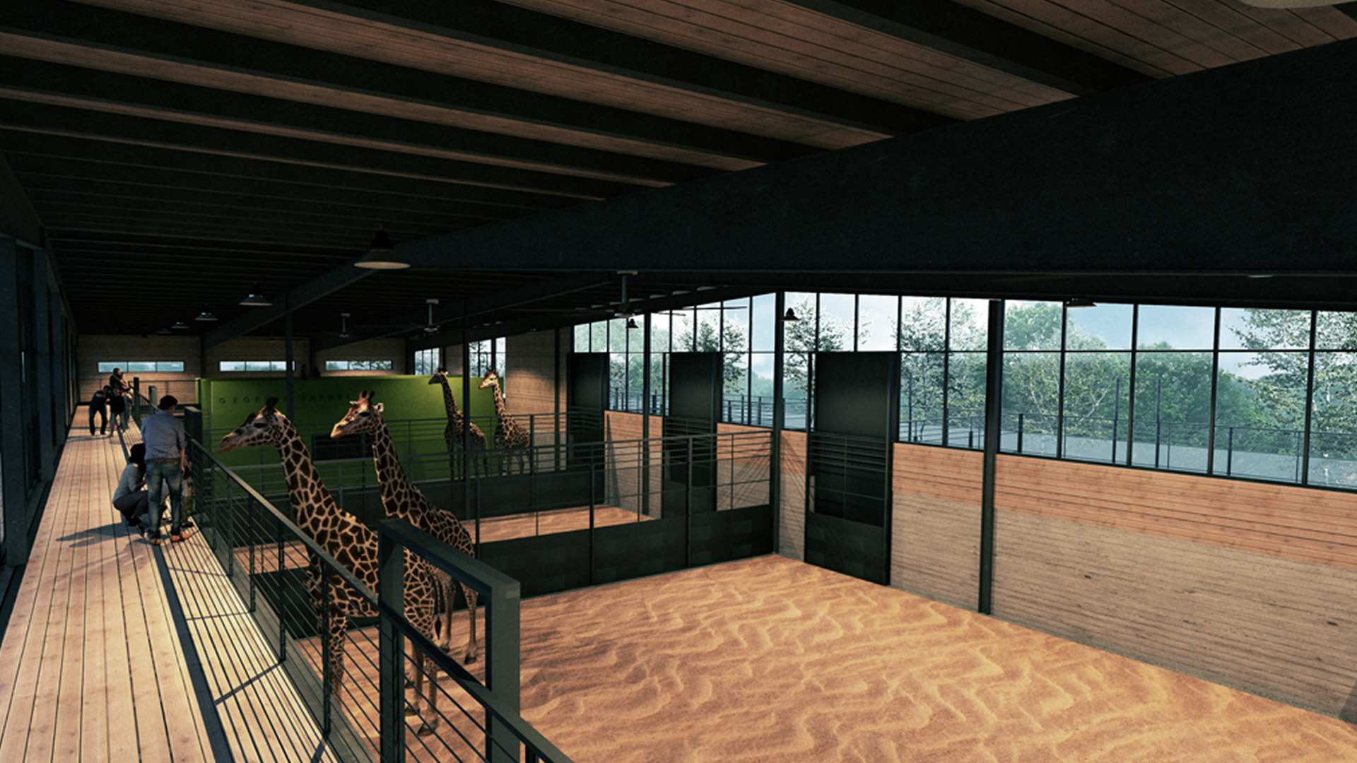 georgia safari . madison