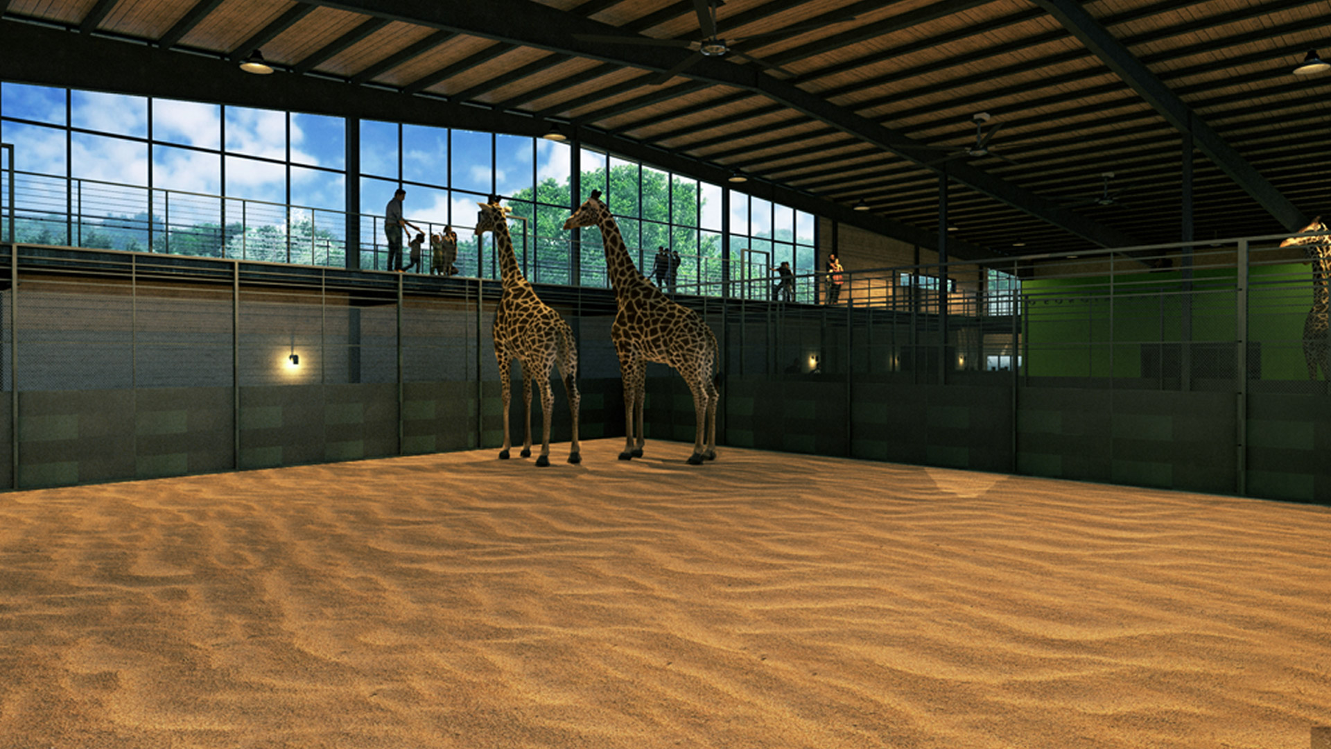 georgia safari . madison